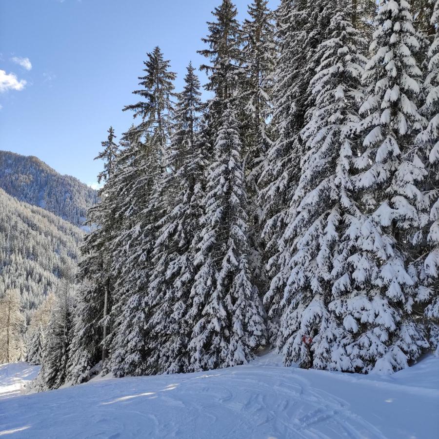 Villa Kofler Wonderland Resort Campitello di Fassa Exterior foto